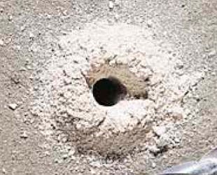 85194beton